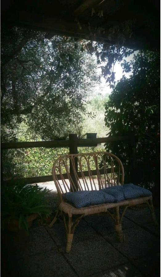 Casa Gelsomino Daire Scandicci Dış mekan fotoğraf